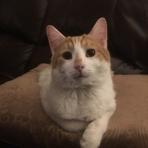 Meet your Posher, Becca